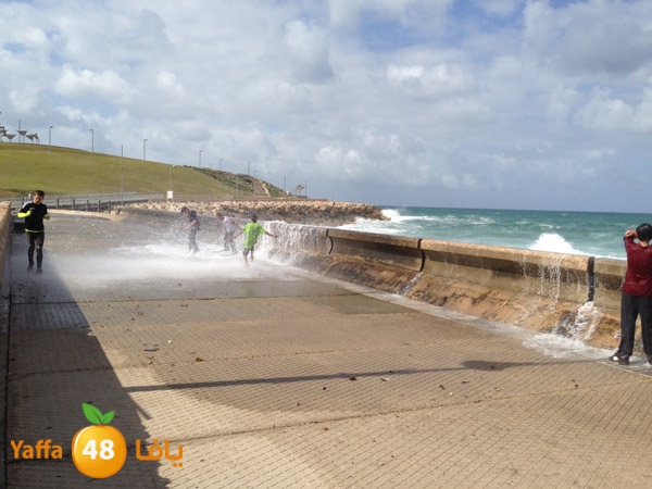 mina2yaffa327 (4).JPG